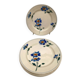 Lot of flat plates Moulin des Loups