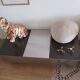 70s coffee table with built-in bar