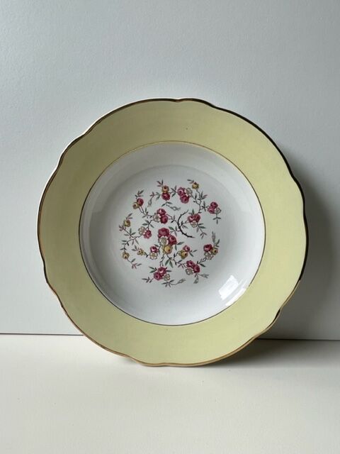 Lot de 10 assiettes creuses Lunéville