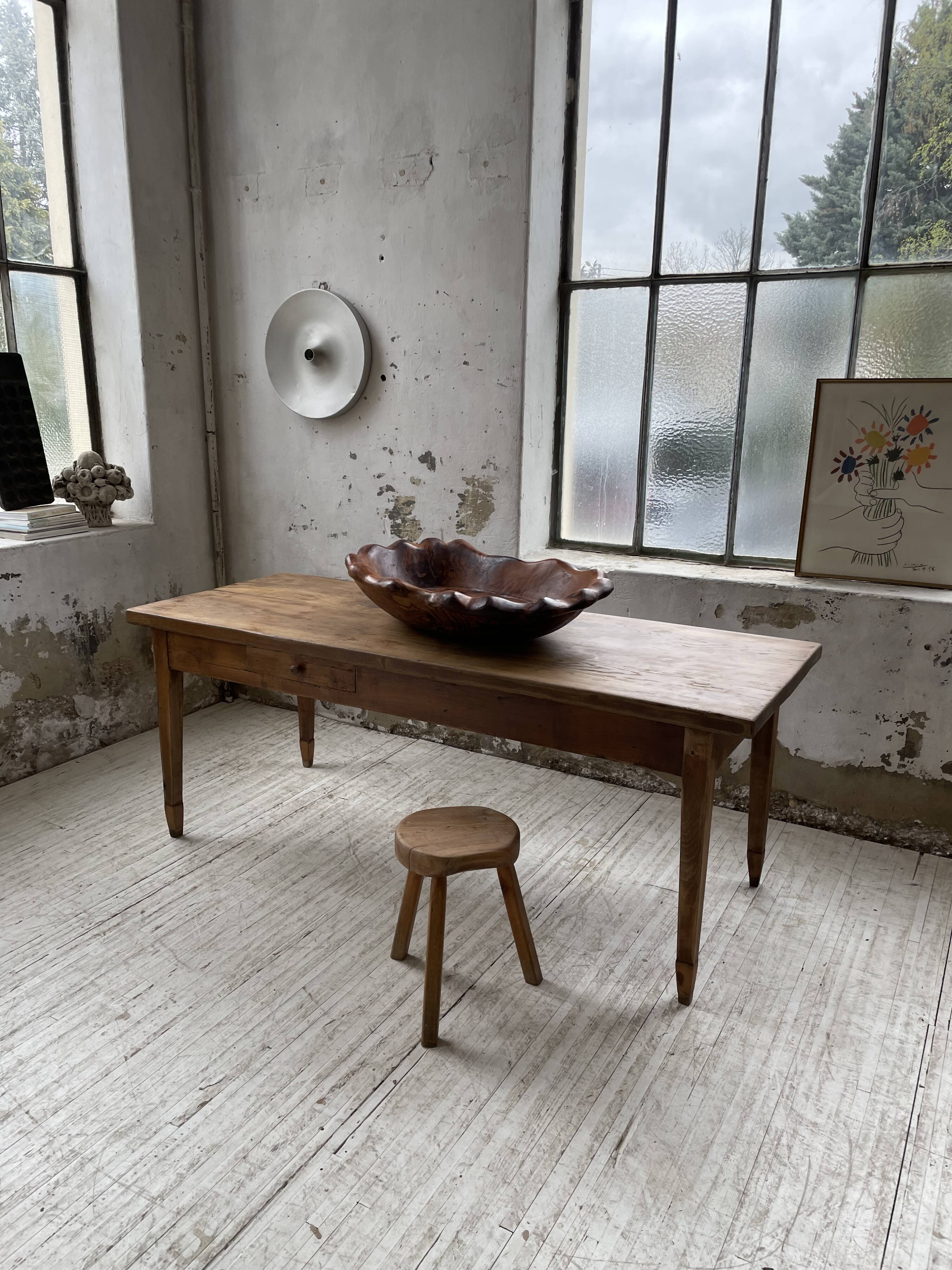 XL thuja root wooden dish