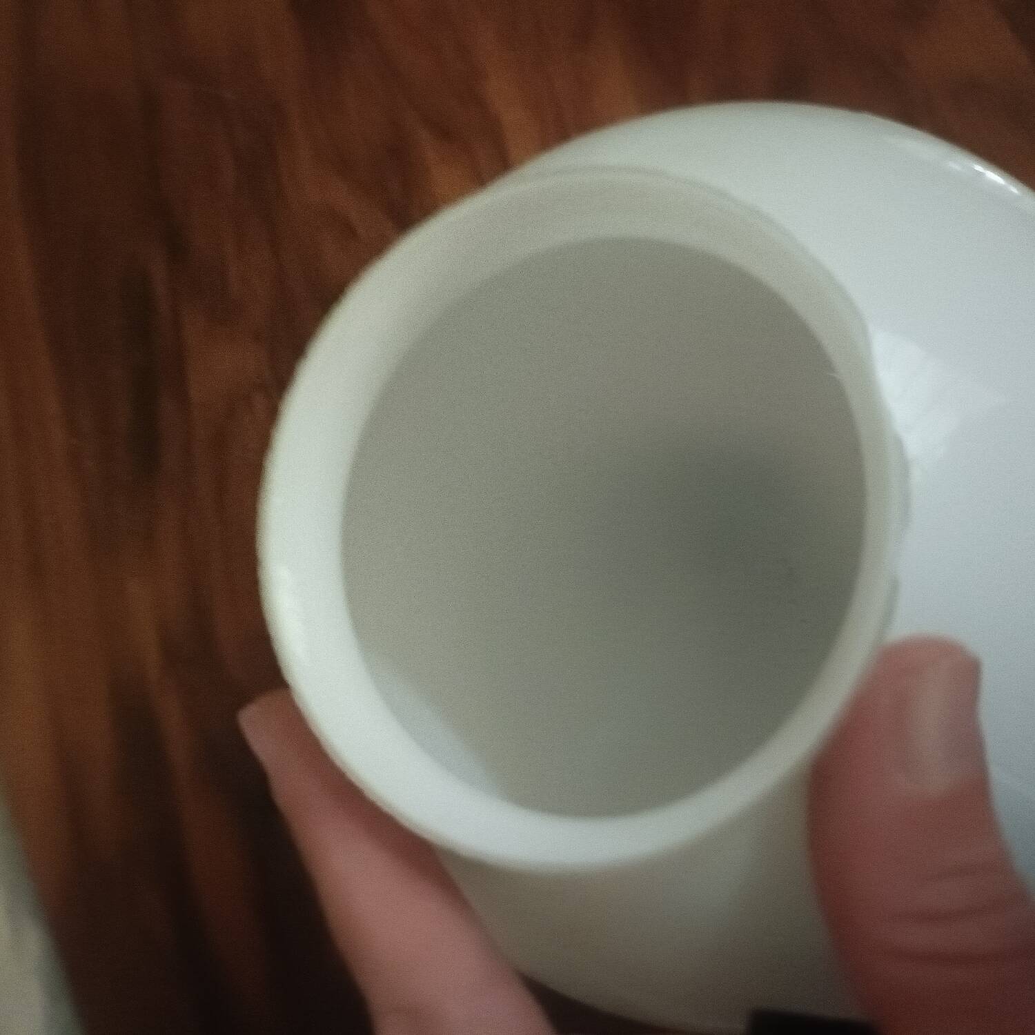 Pair of spherical lampshades in opaline.