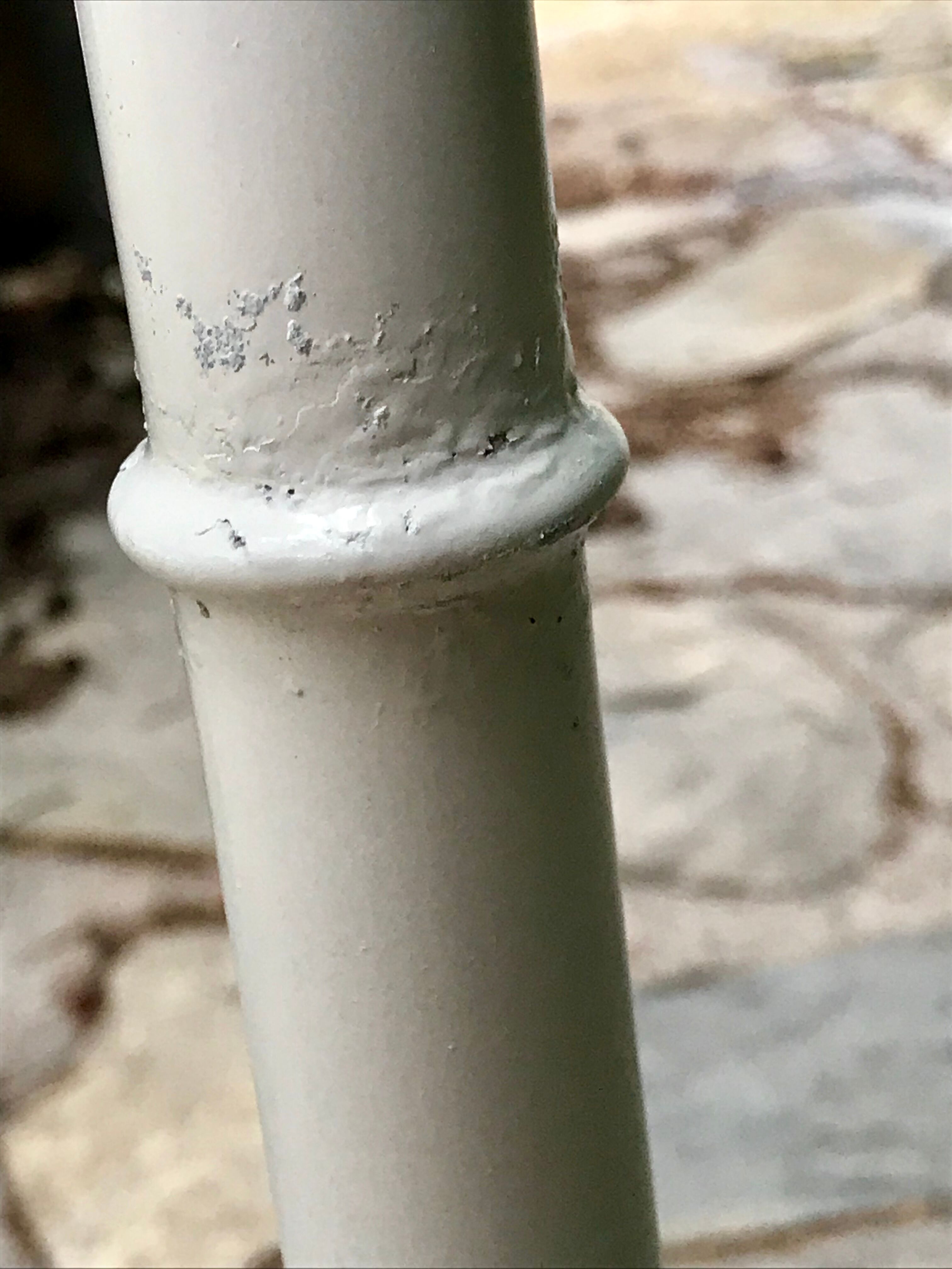 Palm lamppost by Sergio Terzani