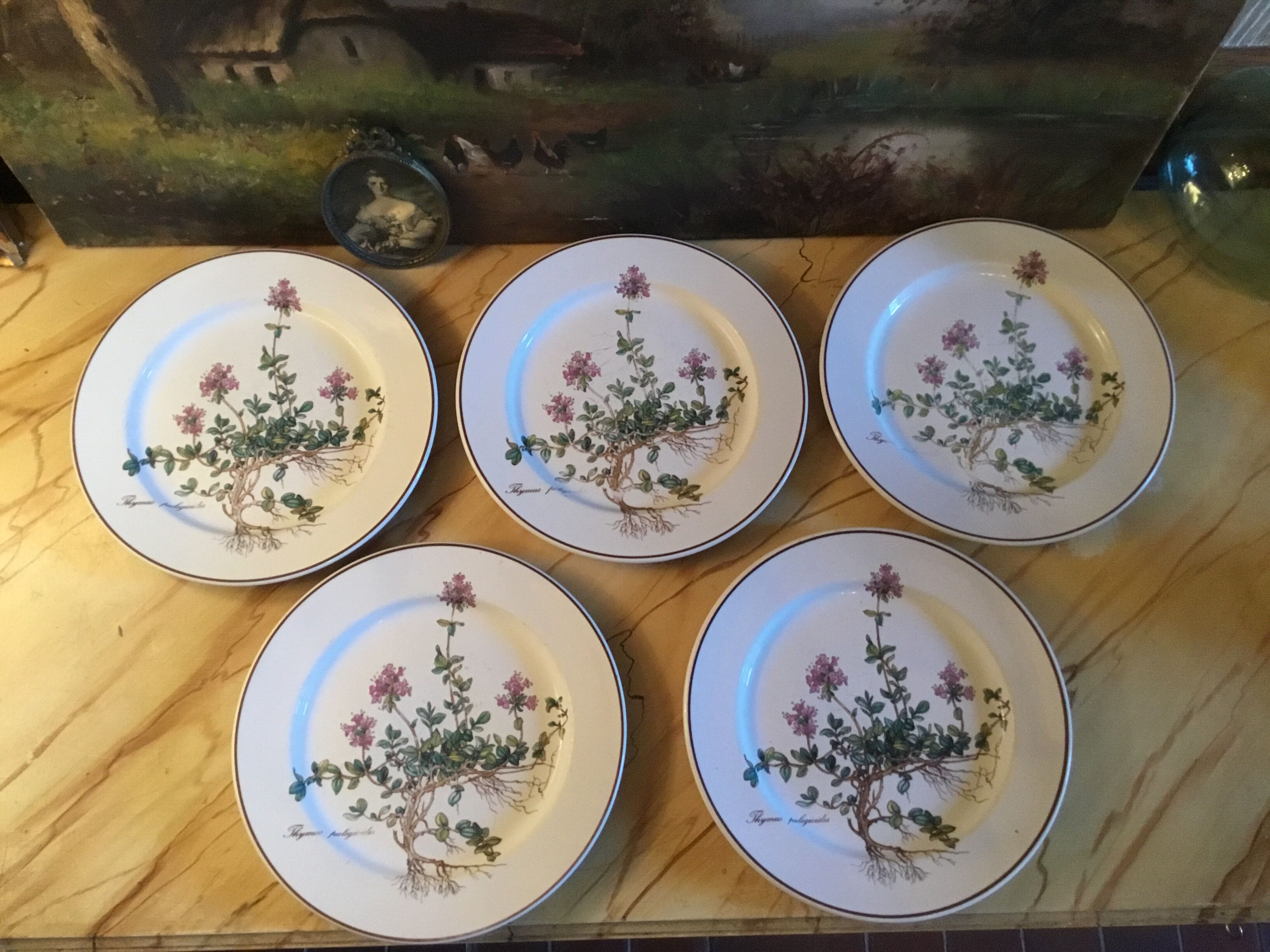 Botanica Villeroy Plates - Boch