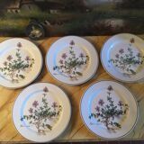 Botanica Villeroy Plates - Boch