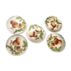 Set of 5 dessert plates slurry St Clement fruit decoration Early twentieth century
