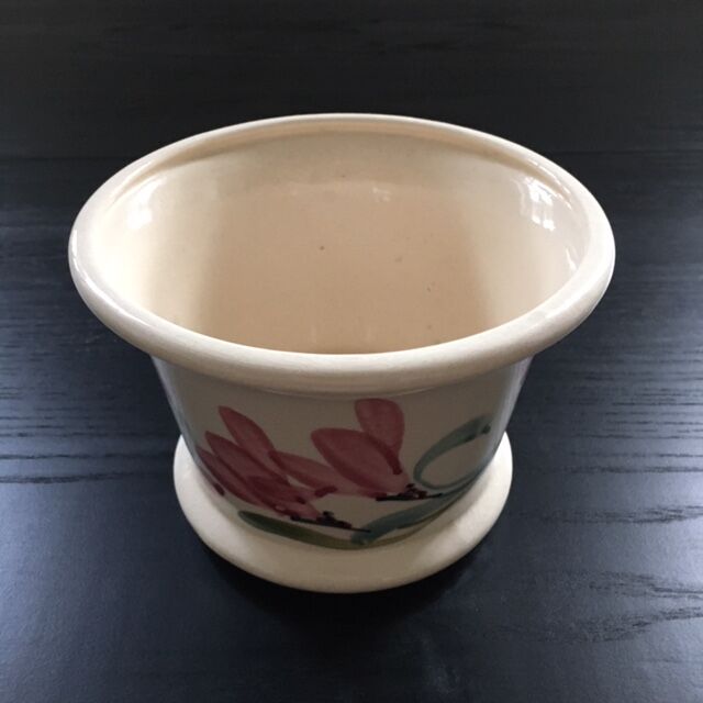 Orchid pot cover