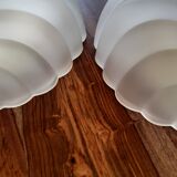 Paire d'appliques coquillages