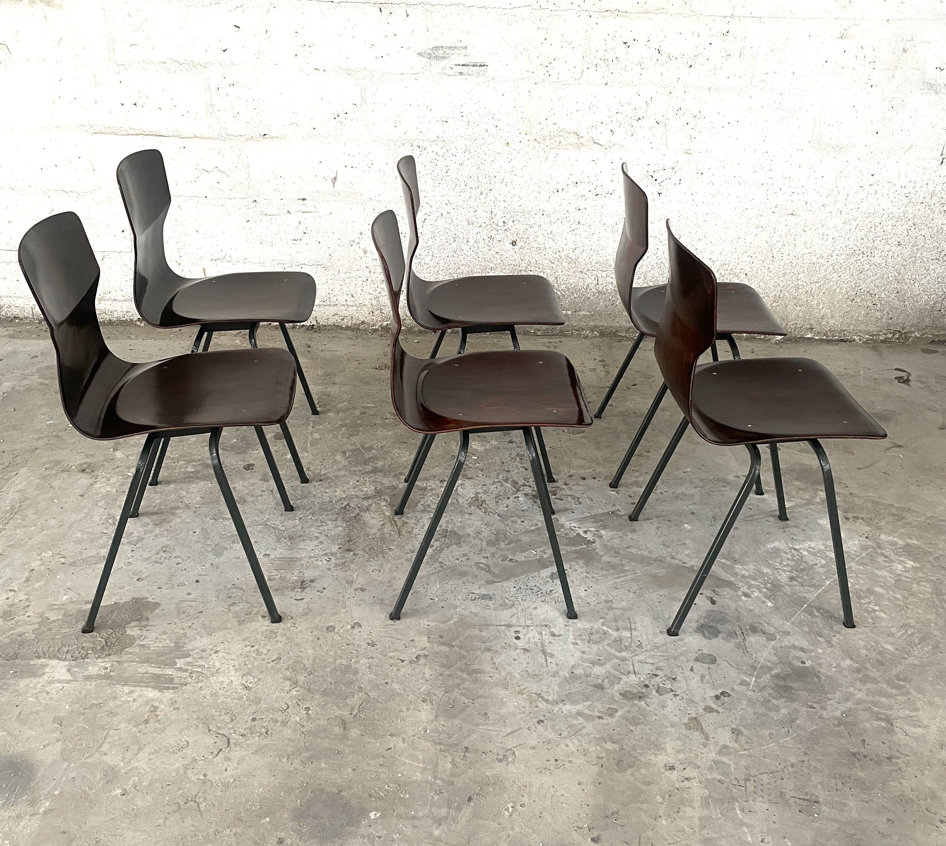 Set of 6 wenge wood chairs and green steel of gray