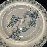 Set of 12 green ironstone flat plates