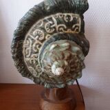 Shell lamp