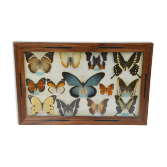 Table mounted butterflies