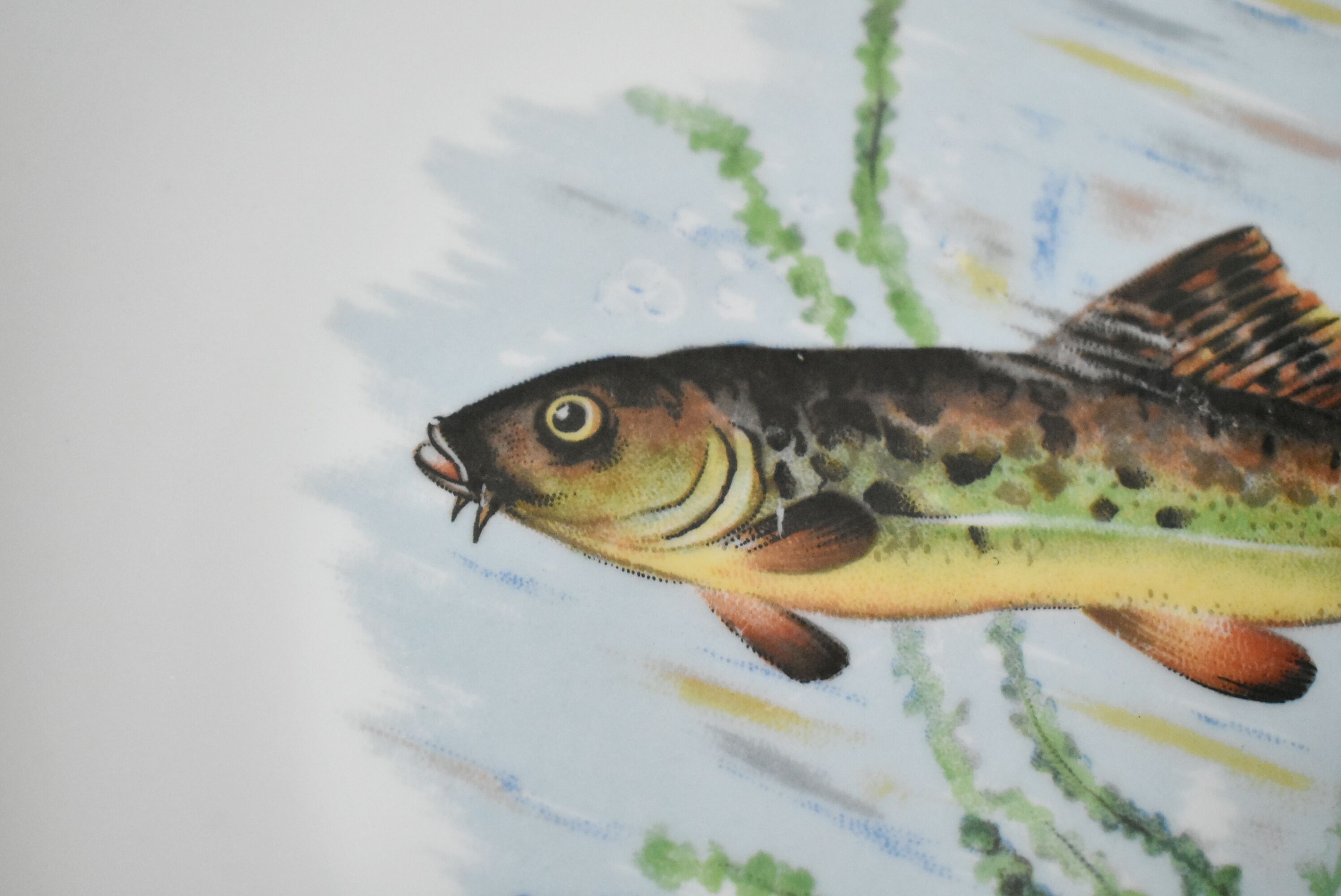 Rare: fish set 11 pieces, Société Française de Porcelaine