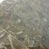 Mid-century fossil stone coffee table