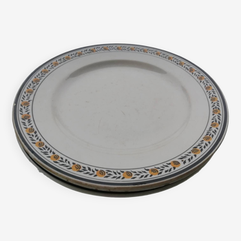 Digoin Valence plate series