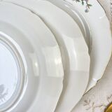 8 flat plates in Céranord porcelain, bird of paradise motif, "Regence" model