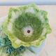 Fruit cup in dabbling