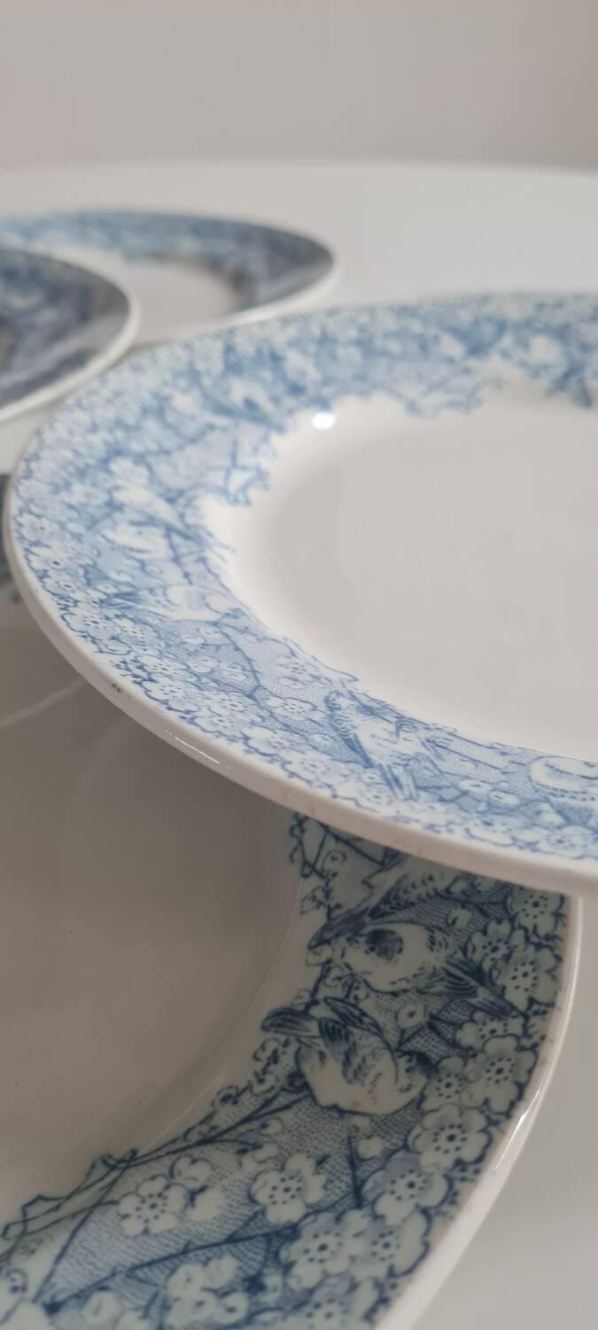 Set of 6 iron earthenware plates