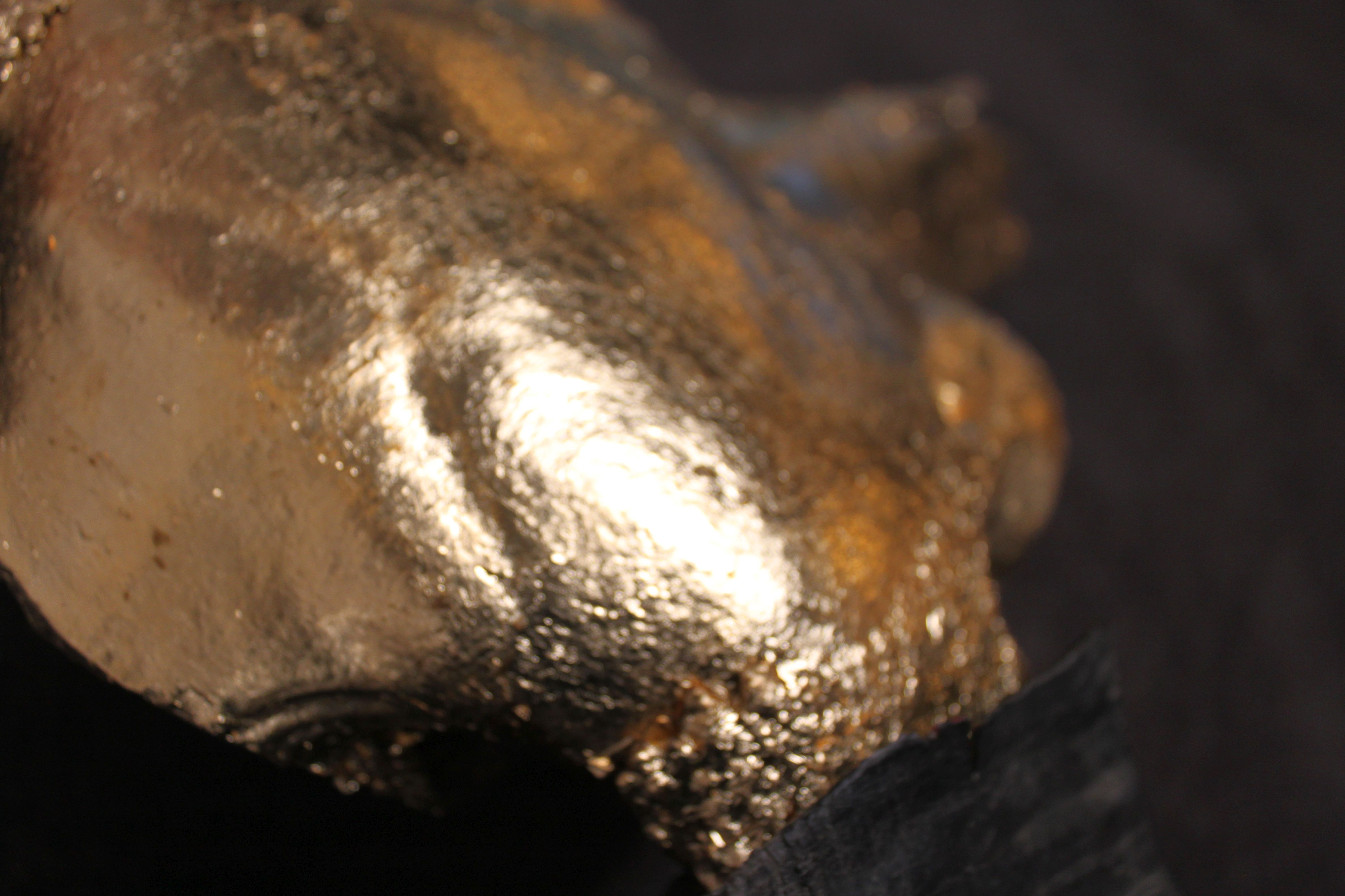 Golden buffalo skull