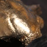 Golden buffalo skull