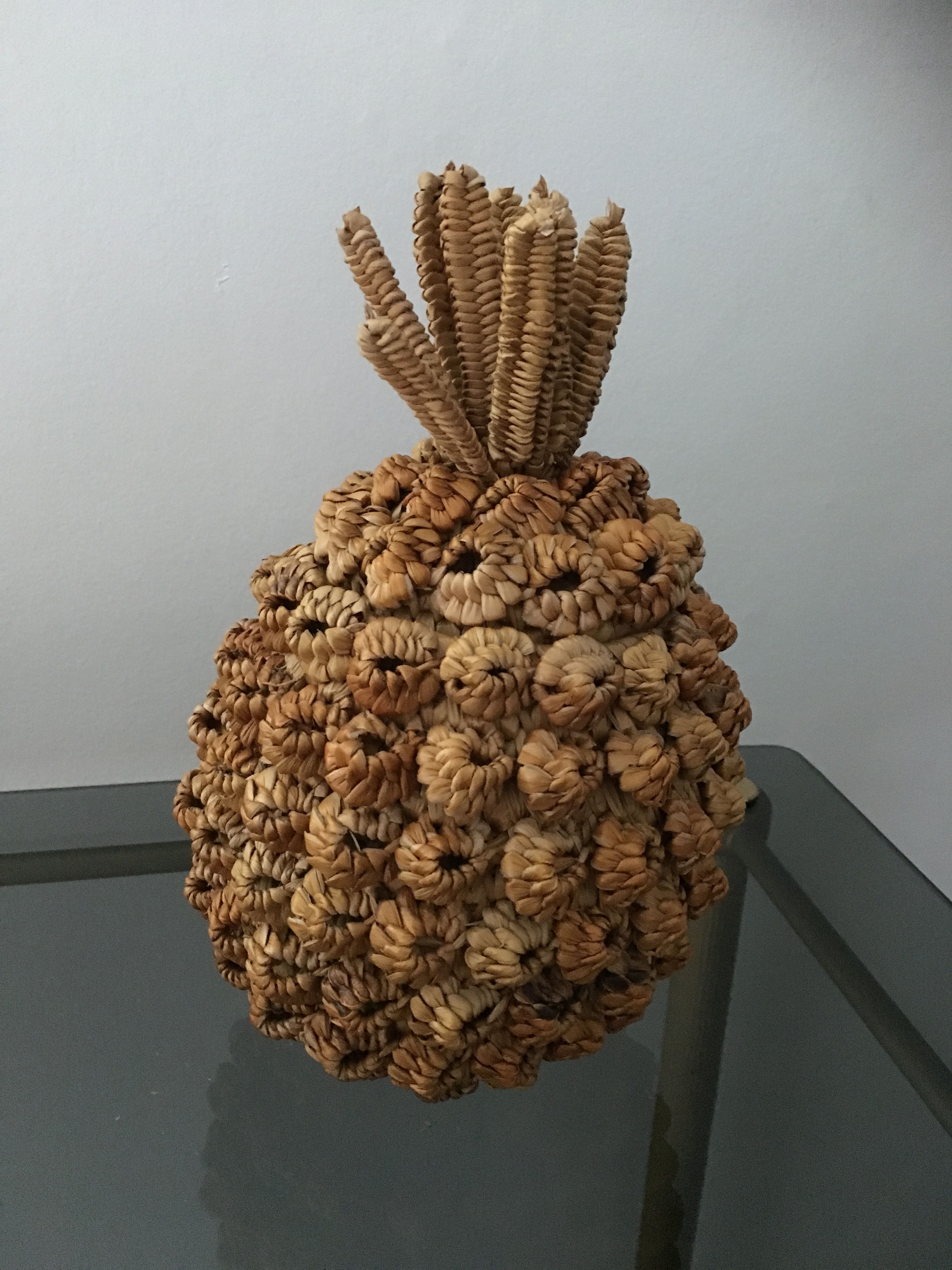 Trash in the form of the pineapple in natural fibers