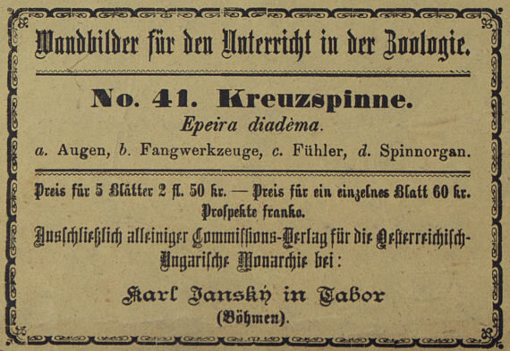 Poster "garden spider" lithograph Karl Jansky Böhmen 1897