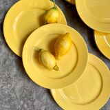 12 yellow earthenware dinner plates