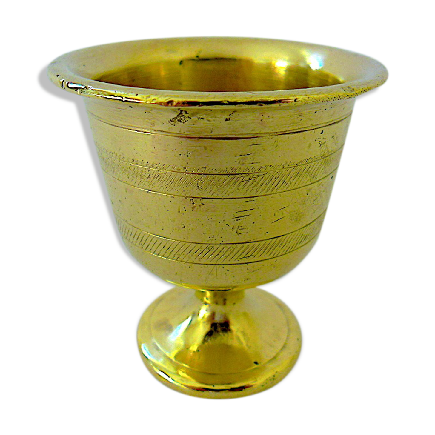 Former bronze cockroach with natural goose or cane egg