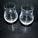 Lot de 2 grand verres à vin en cristal - ballon de dégustation œnologie H20cm