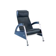 Lounge Chair Tecta, Germany, 2000s