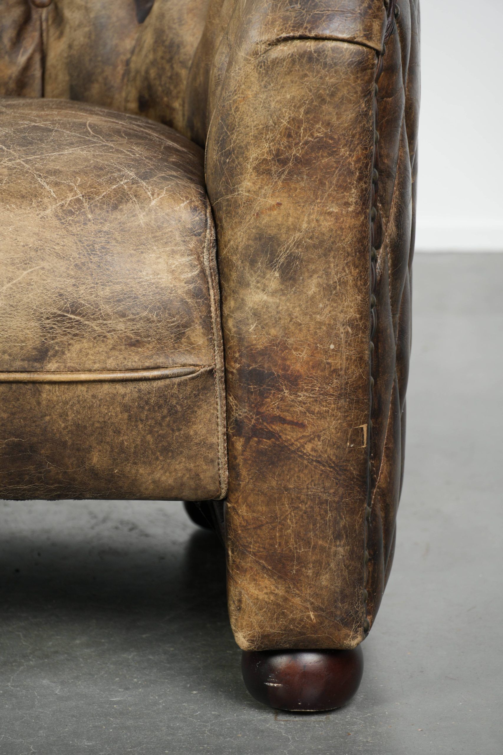 Unique cowhide Chesterfield club armchair with beautiful colour combination