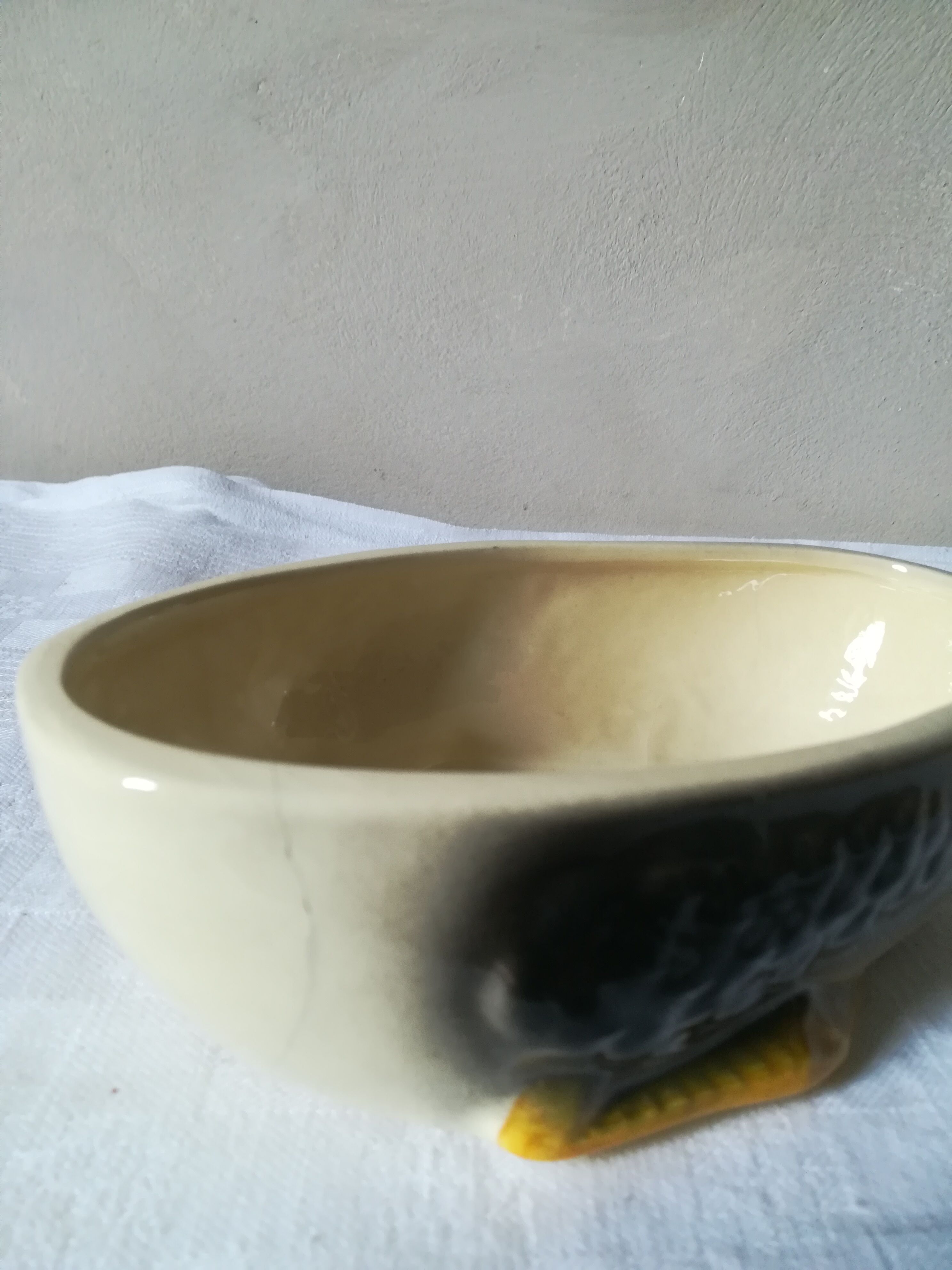 Dish in dabbling with goose