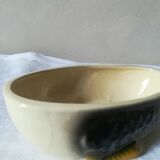 Dish in dabbling with goose