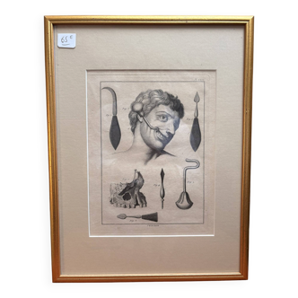 Old Print Engraving Framed Aphorisms Surgery Anatomy Herman Boerhaave