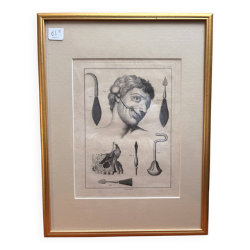 Ancien Estampe Gravure Encadré Aphorismes Chirurgie Anatomie Herman Boerhaa