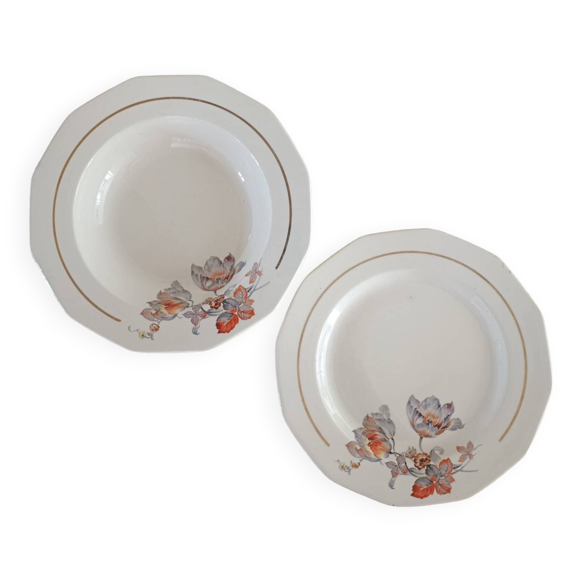 Set of 1 dish and 1 deep dish Badonviller