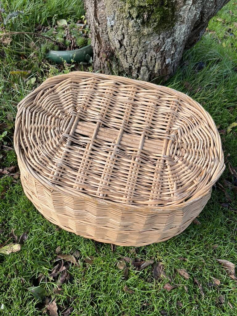 Wicker basket with handles