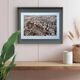 Carcassonne, Aude, vintage, photo plate printed in 1935.