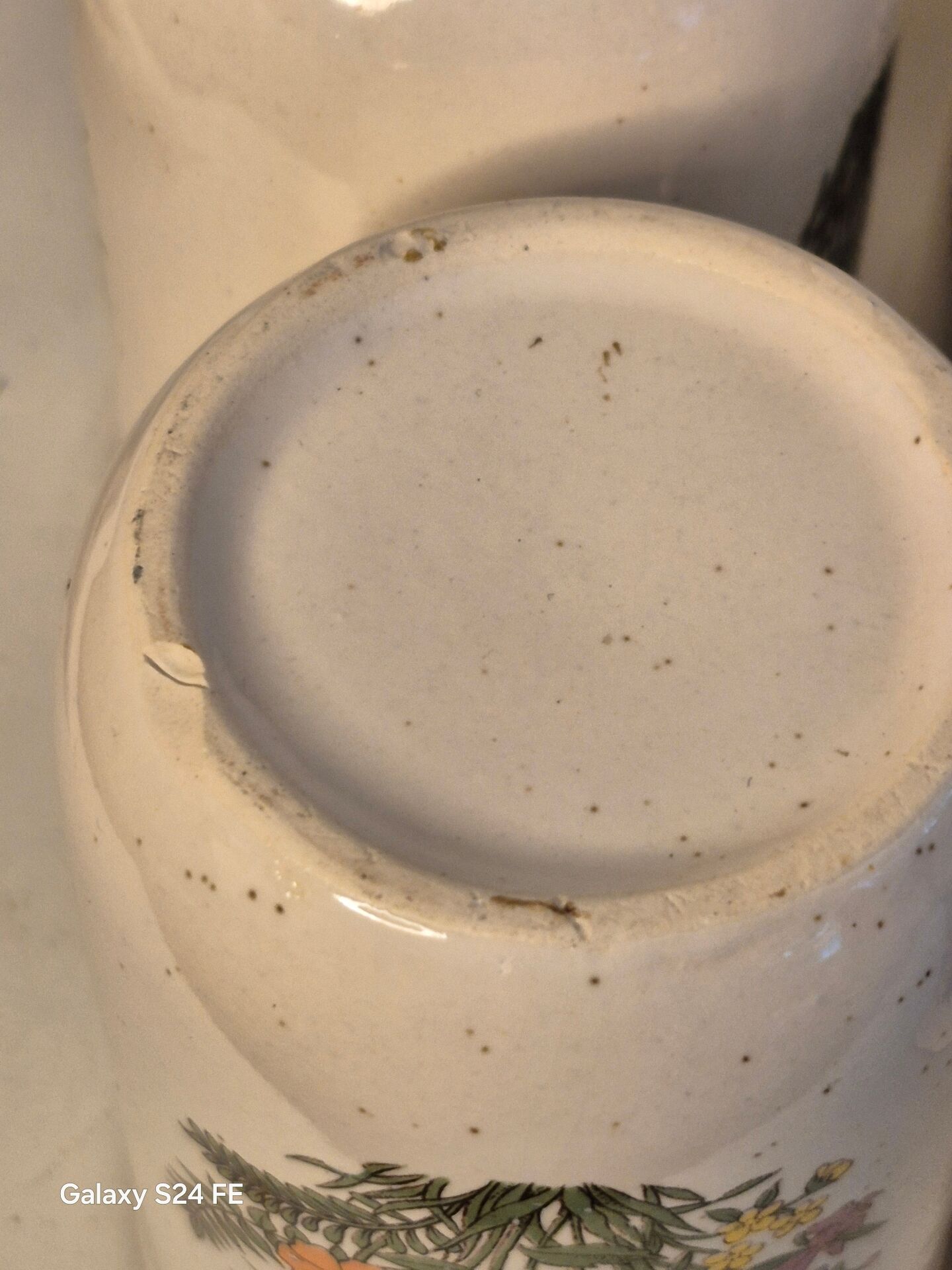Herbarium mugs