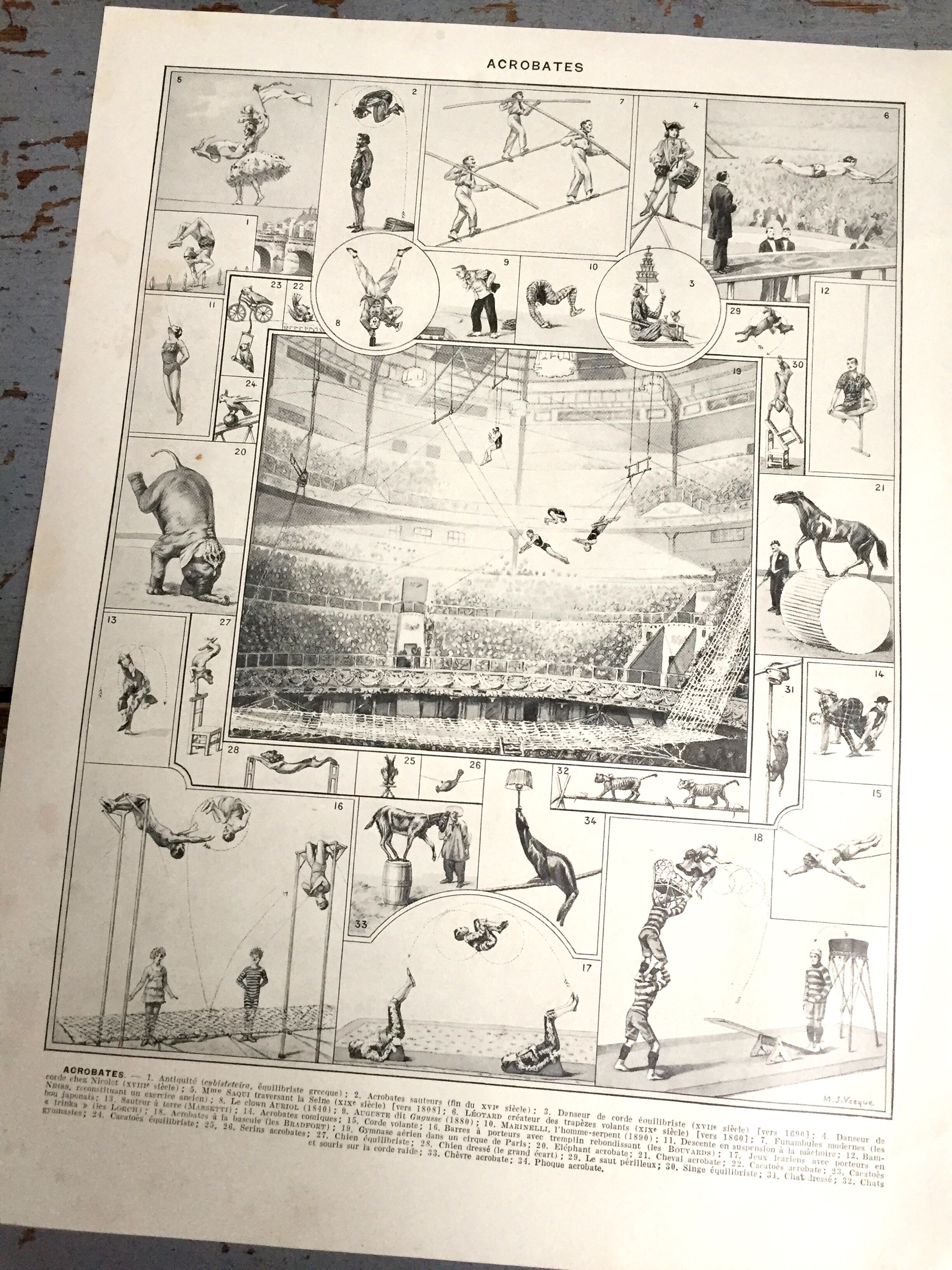 Old illustration JM Vesque "Acrobats"