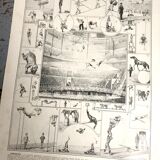 Illustration ancienne JM Vesque "Acrobates"