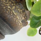 rare large jopeko PLANT STAND plant pot with base fat lava ceramic 1970s