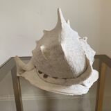 Shell horned helmet 30 cm
