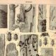 Antique engraving 1928 A. Millot - Wood-boring insects 1, damage to trees