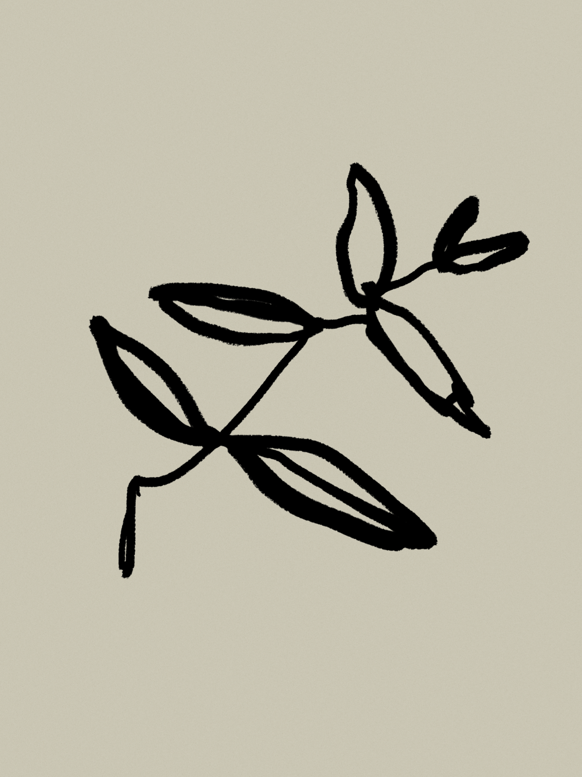 Botanical illustration giclee print, 50x70