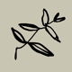 Botanical illustration giclee print, 50x70