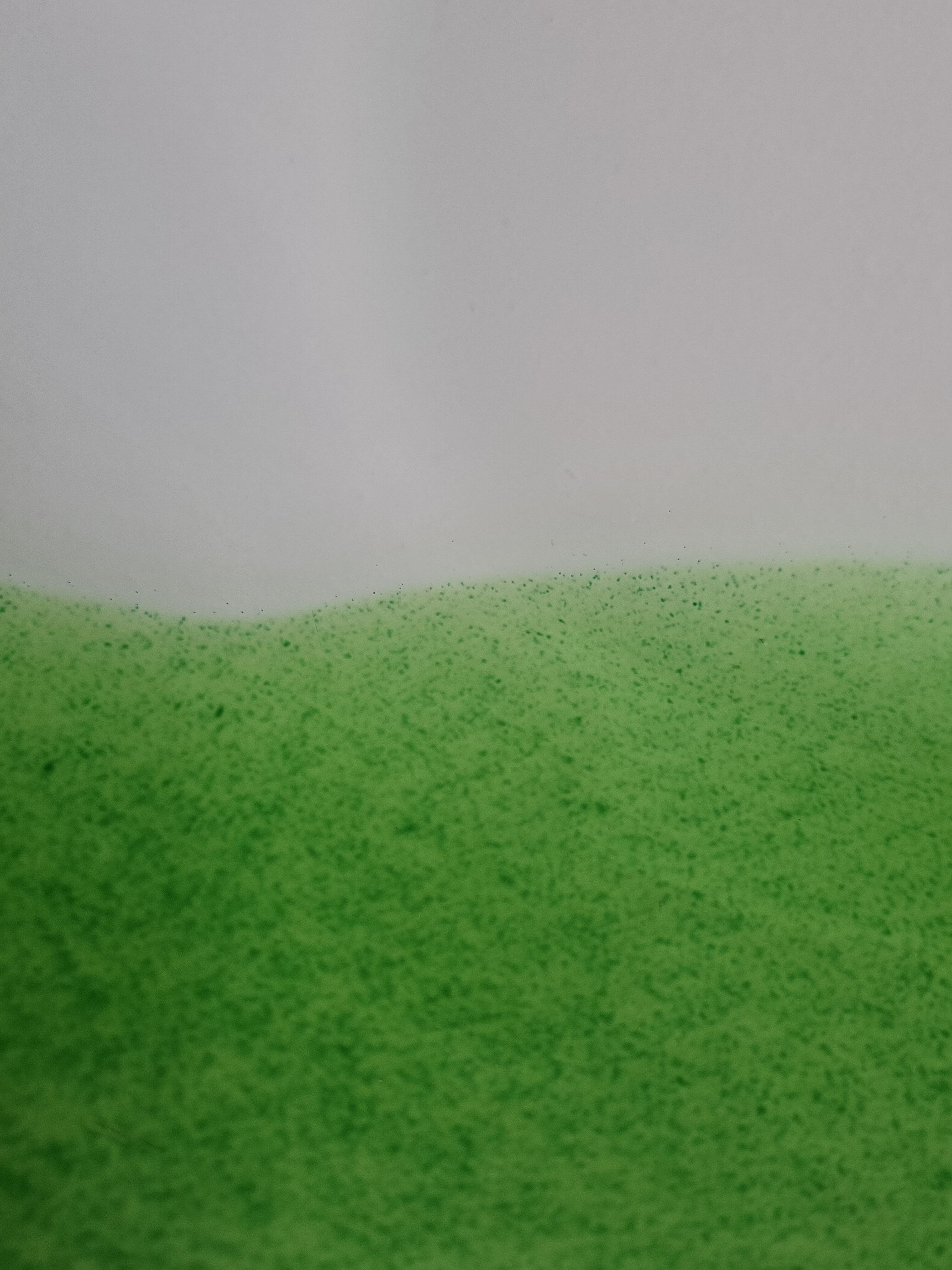 Plat décoratif ovale en pâte de verre, vert prairie et blanc, 45 cm
