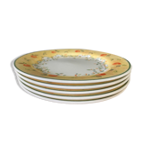 Set of 5 dessert plates