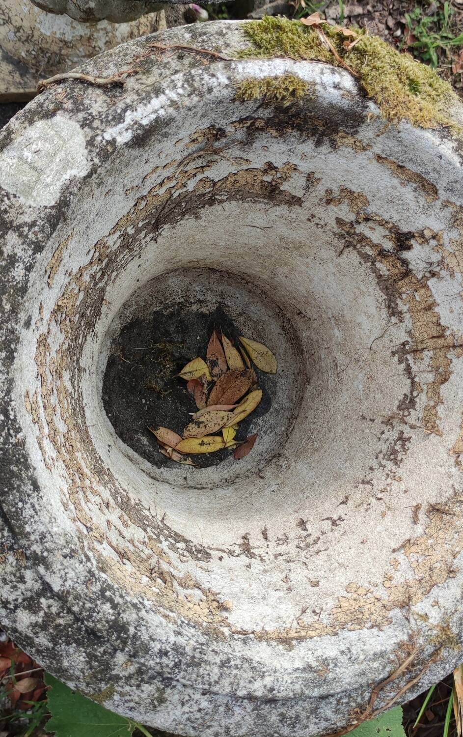 Pair of antique Medici stone vases