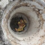 Pair of antique Medici stone vases