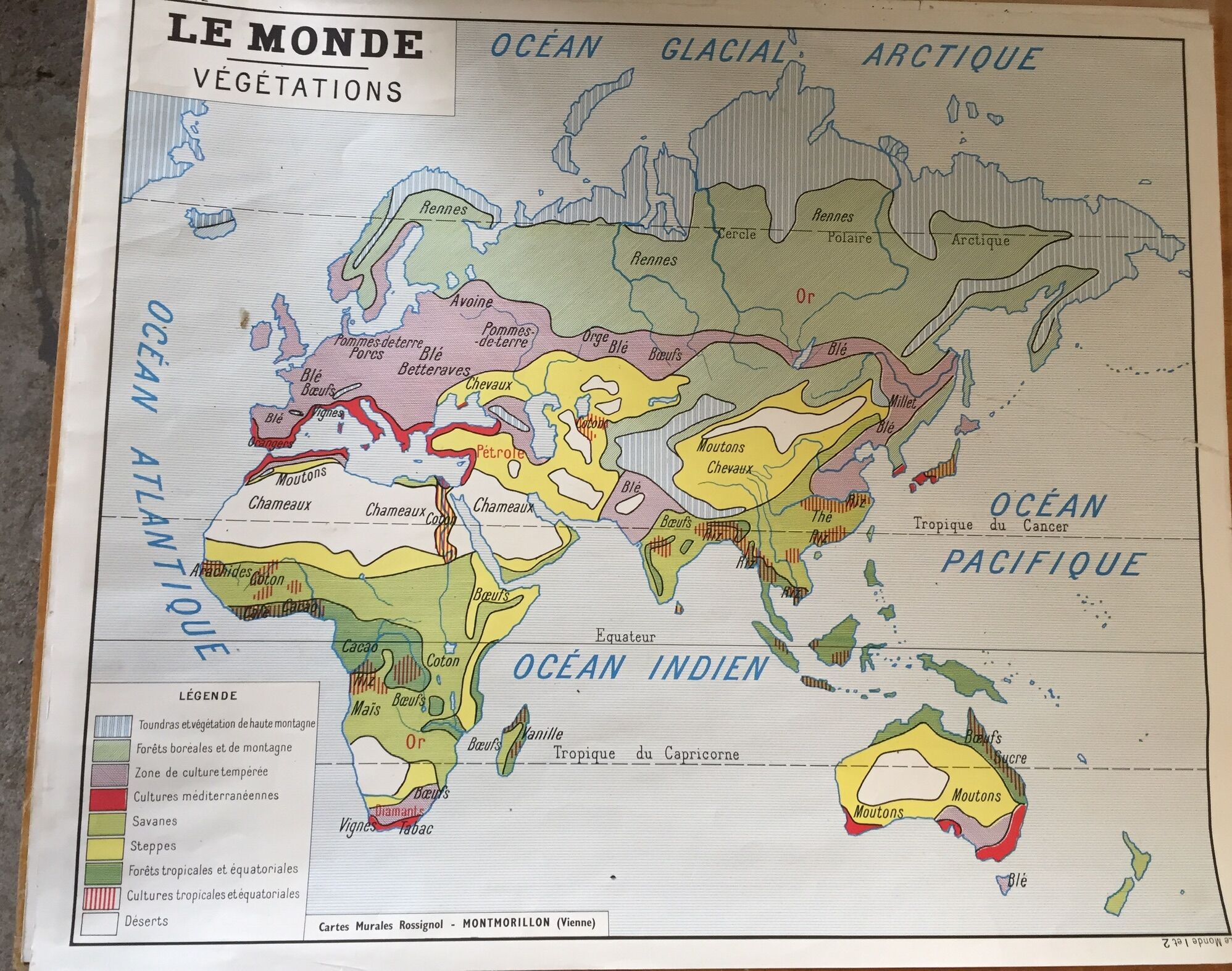 Pedagogical map, the world of vegetation